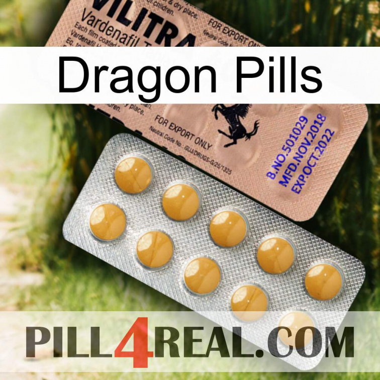 Dragon Pills 41